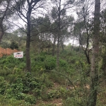 Terreno en venta Mas Alba